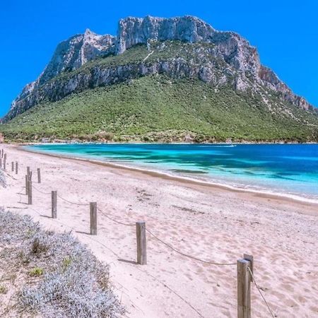 فيلا Casa Di Maria - La Pineta بورتو سان باولو المظهر الخارجي الصورة
